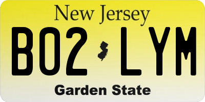 NJ license plate B02LYM