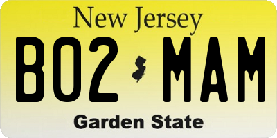 NJ license plate B02MAM