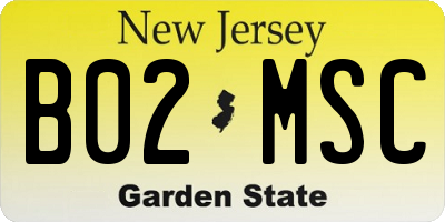 NJ license plate B02MSC