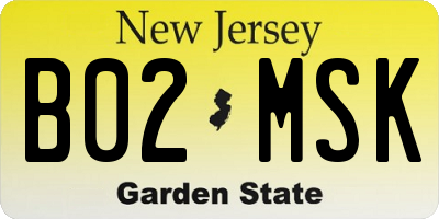 NJ license plate B02MSK