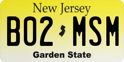NJ license plate B02MSM