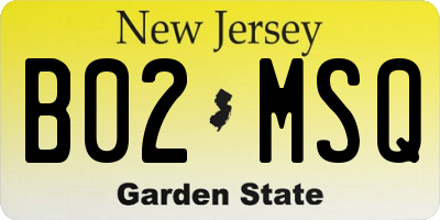 NJ license plate B02MSQ