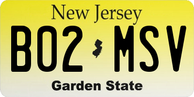 NJ license plate B02MSV