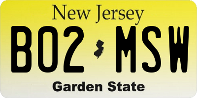 NJ license plate B02MSW