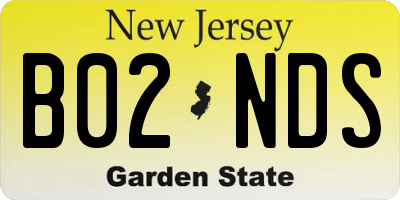 NJ license plate B02NDS