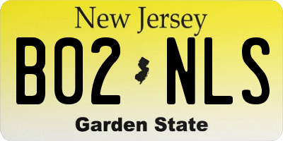 NJ license plate B02NLS