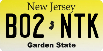 NJ license plate B02NTK