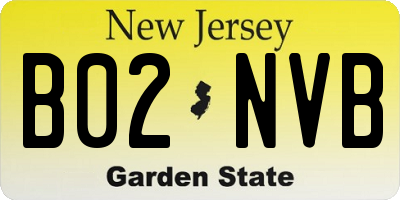 NJ license plate B02NVB