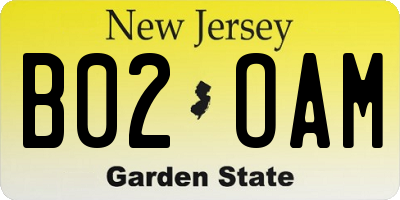 NJ license plate B02OAM