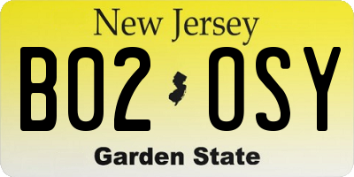 NJ license plate B02OSY