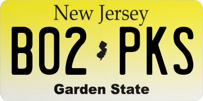 NJ license plate B02PKS