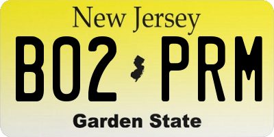 NJ license plate B02PRM