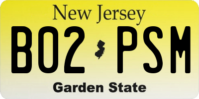 NJ license plate B02PSM