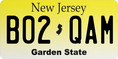 NJ license plate B02QAM