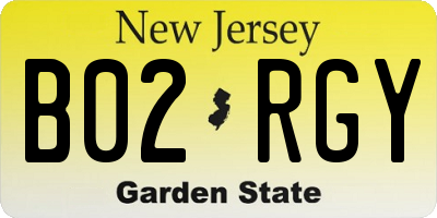 NJ license plate B02RGY