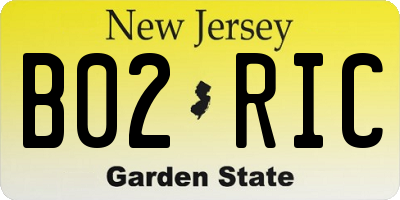 NJ license plate B02RIC