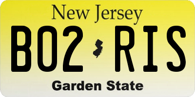NJ license plate B02RIS