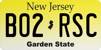 NJ license plate B02RSC