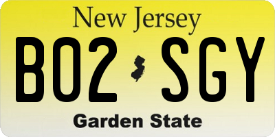 NJ license plate B02SGY