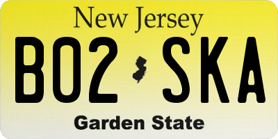 NJ license plate B02SKA