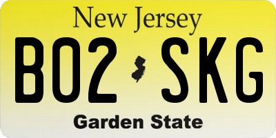 NJ license plate B02SKG