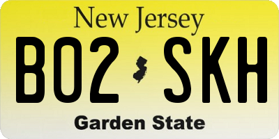 NJ license plate B02SKH