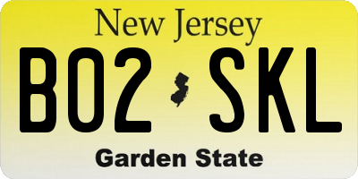 NJ license plate B02SKL