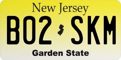 NJ license plate B02SKM