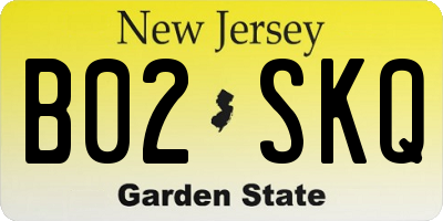 NJ license plate B02SKQ