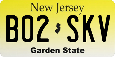 NJ license plate B02SKV