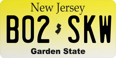 NJ license plate B02SKW