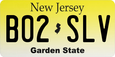 NJ license plate B02SLV