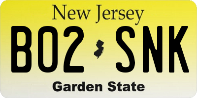 NJ license plate B02SNK