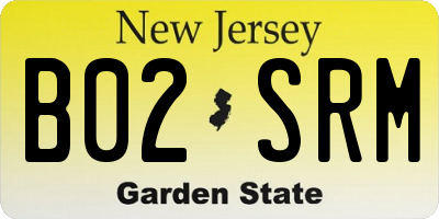 NJ license plate B02SRM