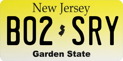 NJ license plate B02SRY
