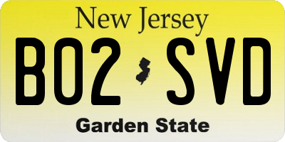 NJ license plate B02SVD