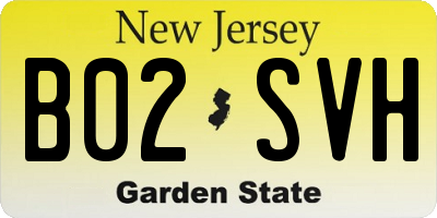 NJ license plate B02SVH