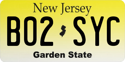 NJ license plate B02SYC