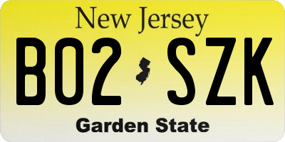 NJ license plate B02SZK