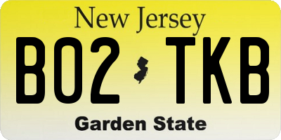 NJ license plate B02TKB