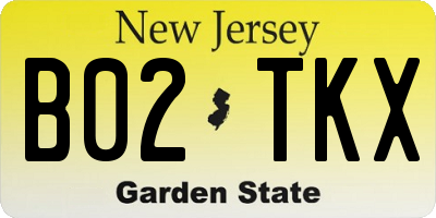 NJ license plate B02TKX