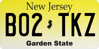 NJ license plate B02TKZ