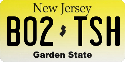 NJ license plate B02TSH
