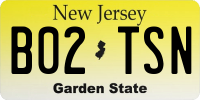 NJ license plate B02TSN