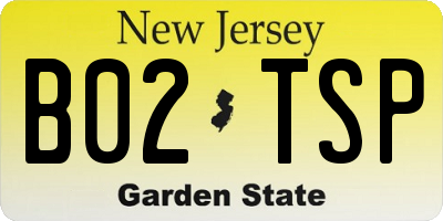 NJ license plate B02TSP