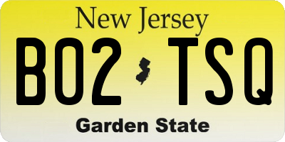 NJ license plate B02TSQ
