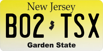 NJ license plate B02TSX