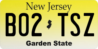 NJ license plate B02TSZ