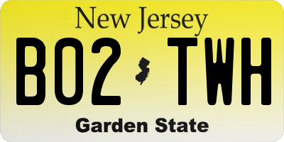 NJ license plate B02TWH