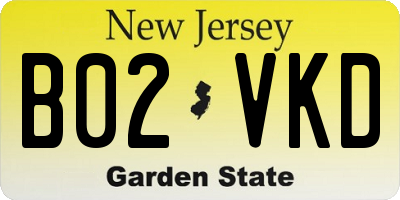 NJ license plate B02VKD